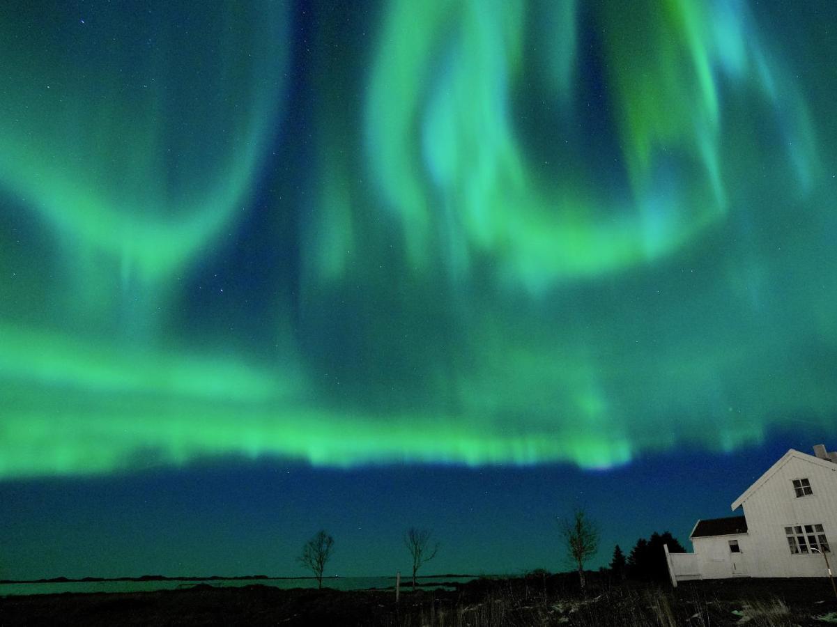 Lofoten Troll View Bostad Exterior foto